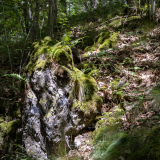 63- RNR Cheires et grottes de Volvic © Gaelle Giraud - LPO.jpg