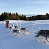La Grande Odyssée 2018-01