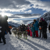 La Grande Odyssée 2025-02