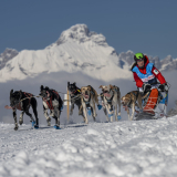La Grande Odyssée 2025-03