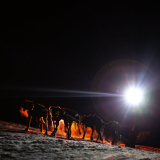 La Grande Odyssée 2025-08