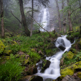 PNR Livradois-Forez 1