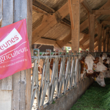 10 ans Haute-Savoie 01