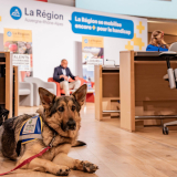 Rencontres grande cause régionale 04