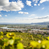 Vignobles des Côtes du Rhône et vue sur le Rhône, Tain l'Hermitage