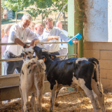 10 ans Région en Haute-Loire 02