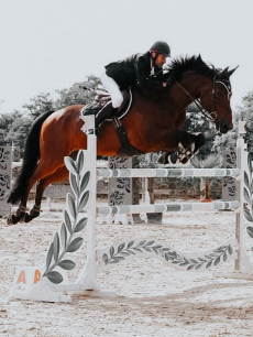 Jumping Arnas Jumping Arnas