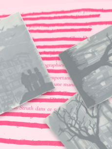 ATELIER TOUS PUBLICS| Hide and seek