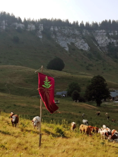 L’antre de la gentianaire