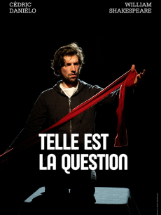 Telle est la question