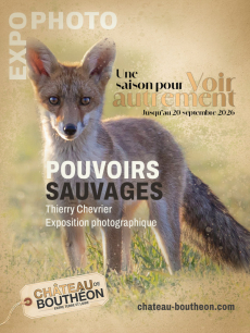 Pouvoirs Sauvages