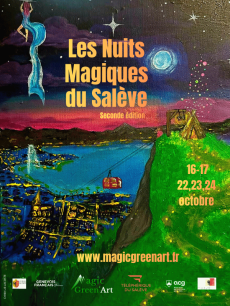 O FESTIVAL ARTS ET LUMIERES