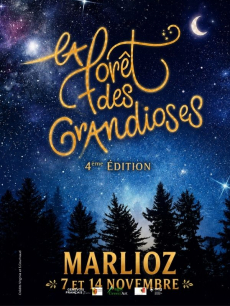 La forêt des grandioses