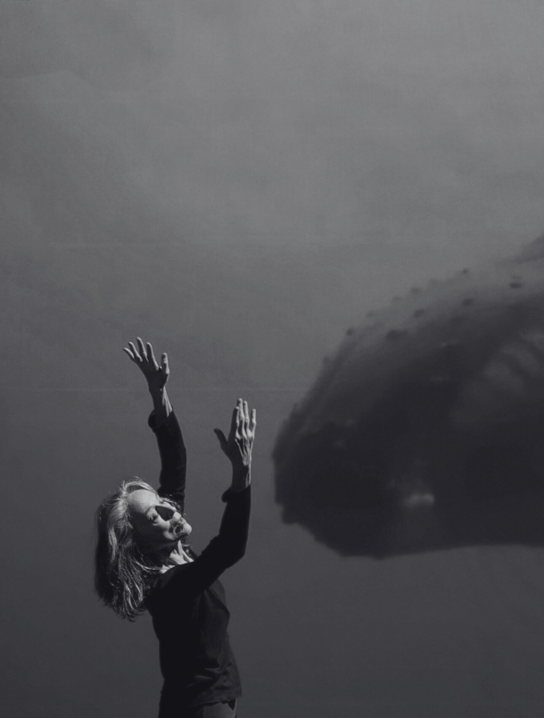 Sortie de résidence : "Mobula" Cie Au Delà du Bleu | Jean-Camille Goimard Sortie de résidence : "Mobula" Cie Au Delà du Bleu | Jean-Camille Goimard